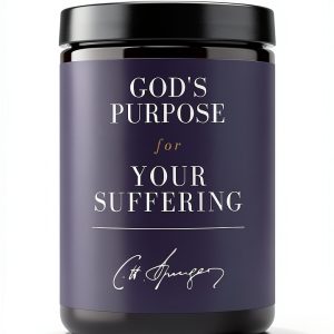 Christian Grief Counseling Kindle Ebook by Cross Points Publishing-0