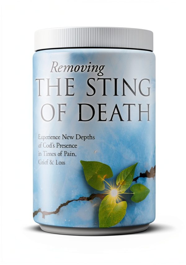 Christian Grief Counseling Ebook by Destiny Image – 180‑Page Kindle-0